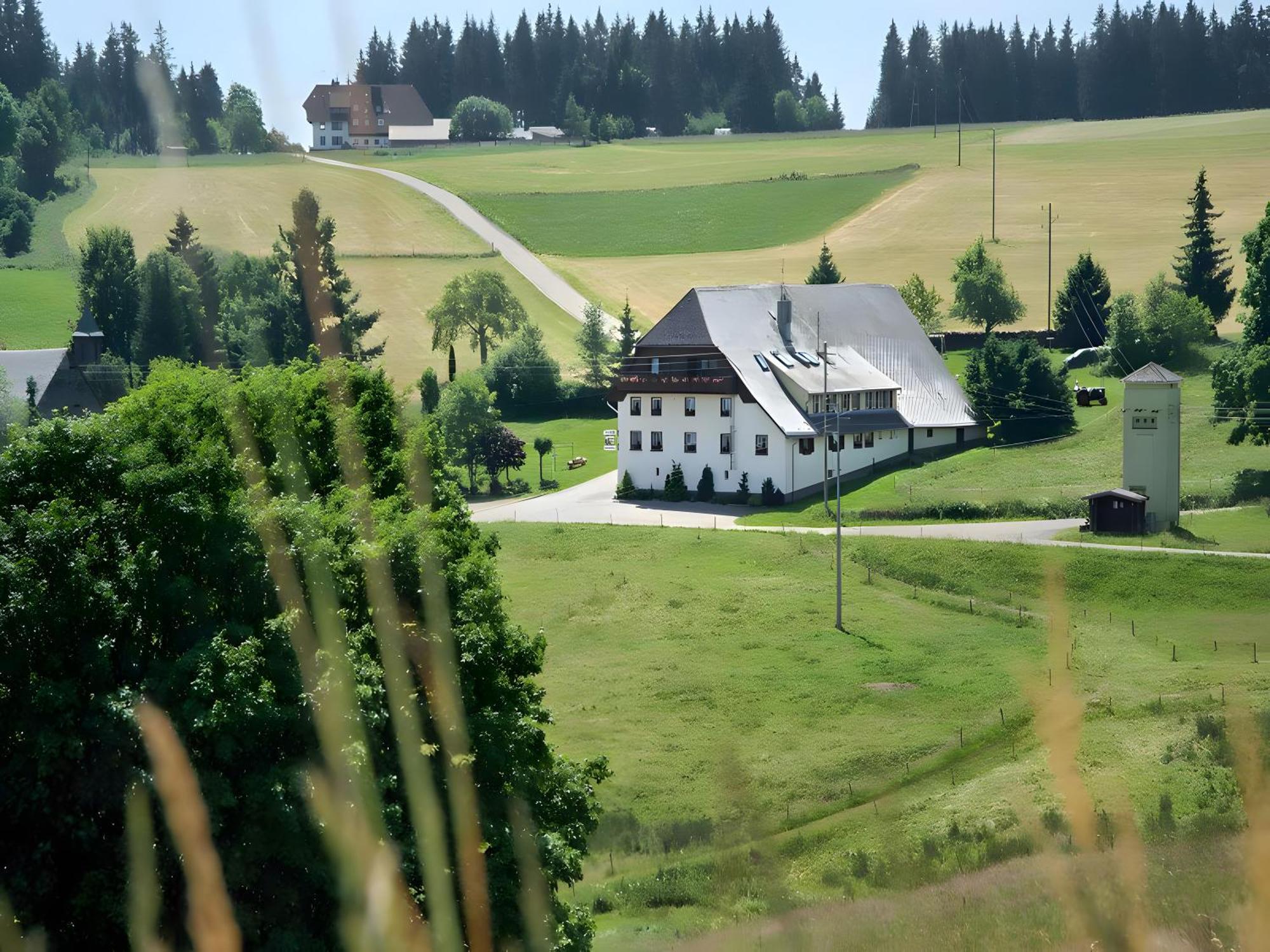 Gasthaus-Pension Zum Loewen Grafenhausen Exterior photo