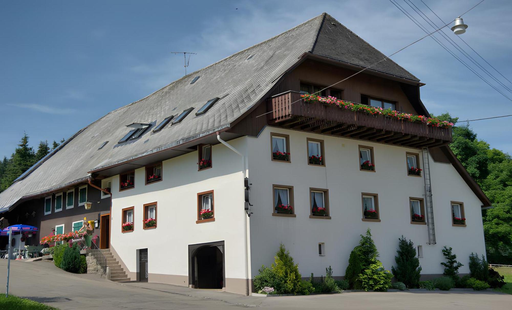 Gasthaus-Pension Zum Loewen Grafenhausen Exterior photo