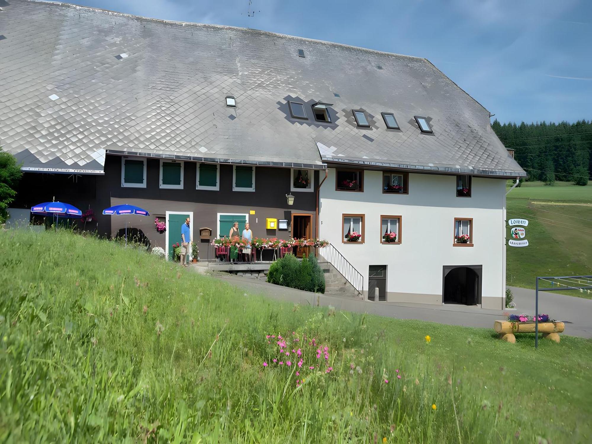 Gasthaus-Pension Zum Loewen Grafenhausen Exterior photo