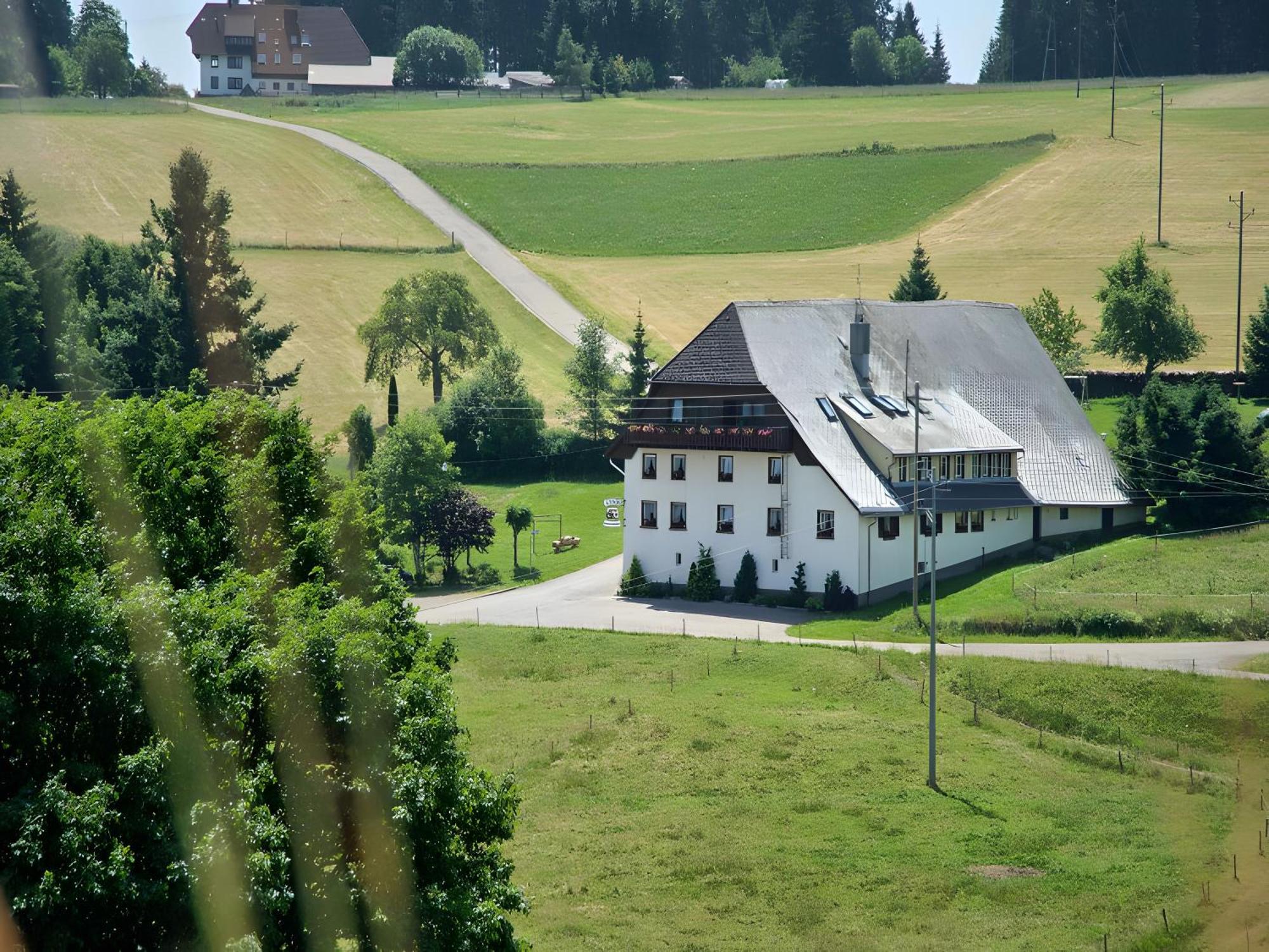 Gasthaus-Pension Zum Loewen Grafenhausen Exterior photo